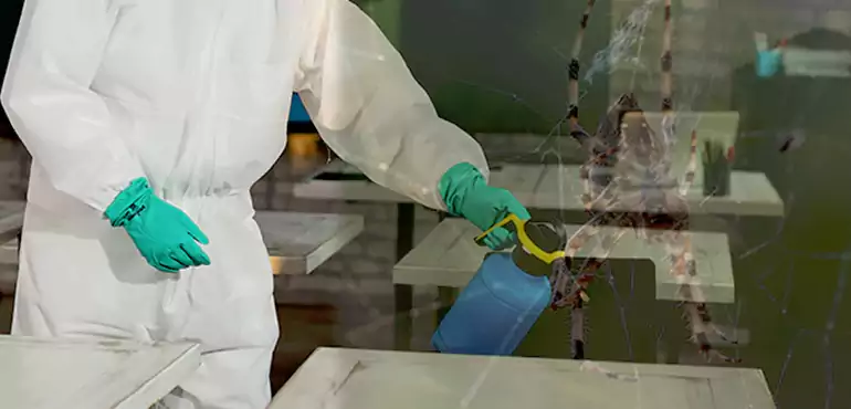 Why Buyers Still Want Homes With Pest Infestations in Orchards, WA?