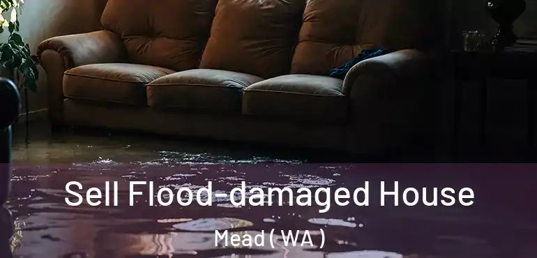  Sell Flood-damaged House Mead ( WA )