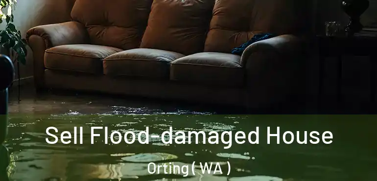  Sell Flood-damaged House Orting ( WA )
