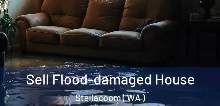  Sell Flood-damaged House Steilacoom ( WA )