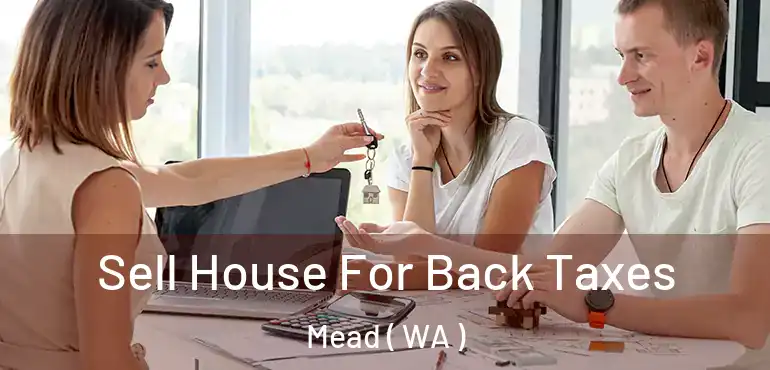  Sell House For Back Taxes Mead ( WA )