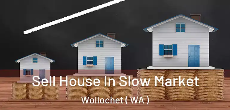  Sell House In Slow Market Wollochet ( WA )