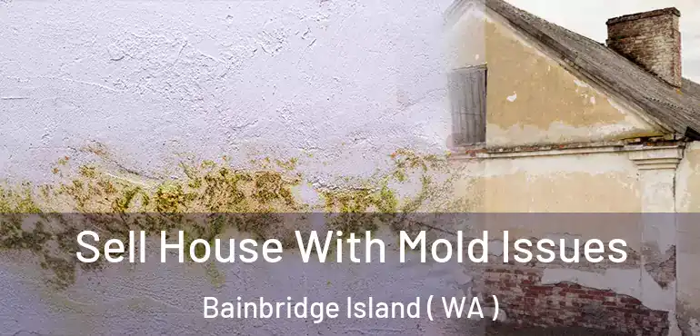  Sell House With Mold Issues Bainbridge Island ( WA )