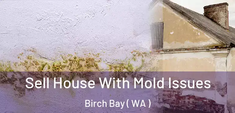  Sell House With Mold Issues Birch Bay ( WA )