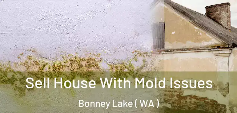  Sell House With Mold Issues Bonney Lake ( WA )