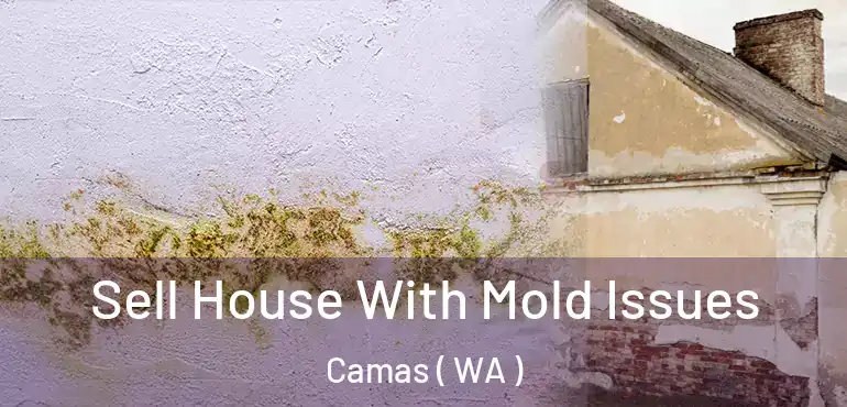  Sell House With Mold Issues Camas ( WA )