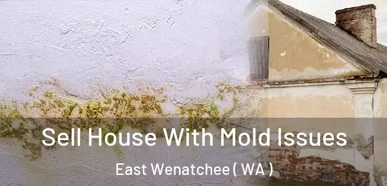  Sell House With Mold Issues East Wenatchee ( WA )