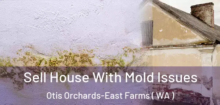  Sell House With Mold Issues Otis Orchards-East Farms ( WA )