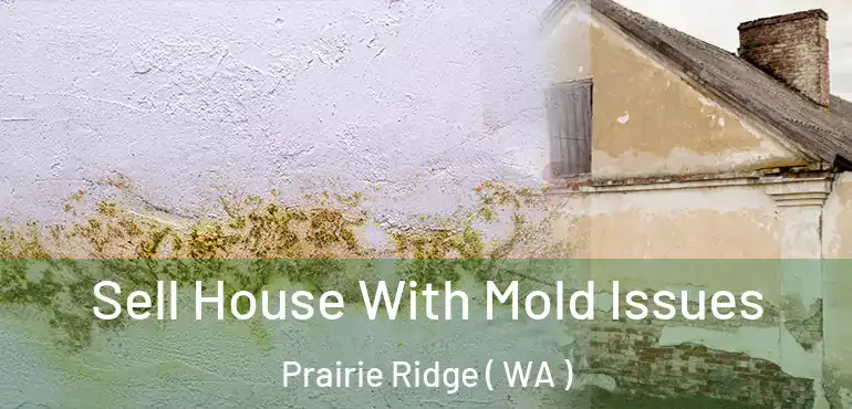  Sell House With Mold Issues Prairie Ridge ( WA )