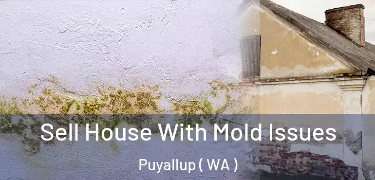  Sell House With Mold Issues Puyallup ( WA )