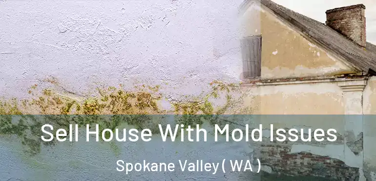  Sell House With Mold Issues Spokane Valley ( WA )