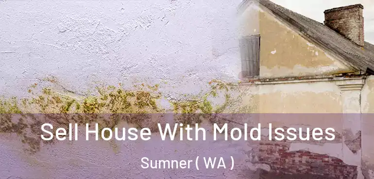  Sell House With Mold Issues Sumner ( WA )