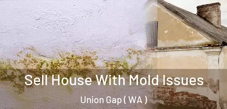  Sell House With Mold Issues Union Gap ( WA )