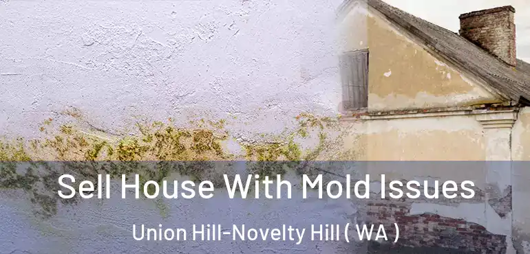  Sell House With Mold Issues Union Hill-Novelty Hill ( WA )