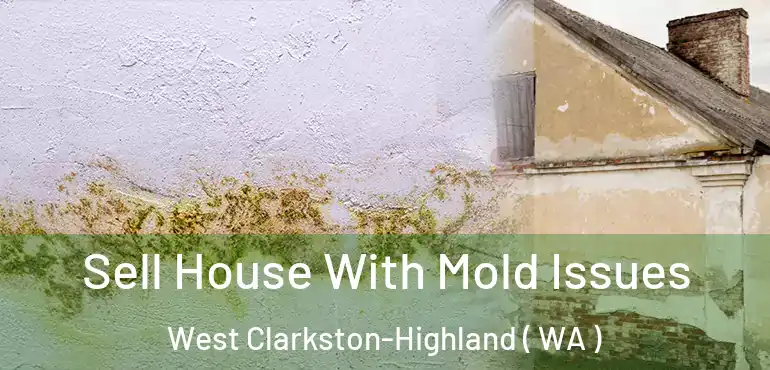  Sell House With Mold Issues West Clarkston-Highland ( WA )