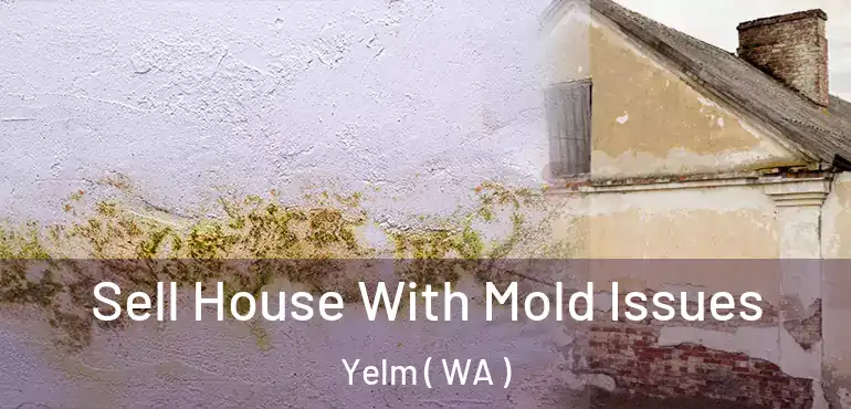  Sell House With Mold Issues Yelm ( WA )