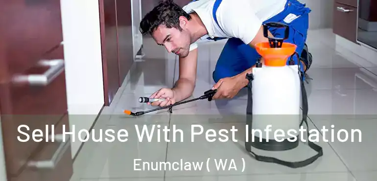  Sell House With Pest Infestation Enumclaw ( WA )