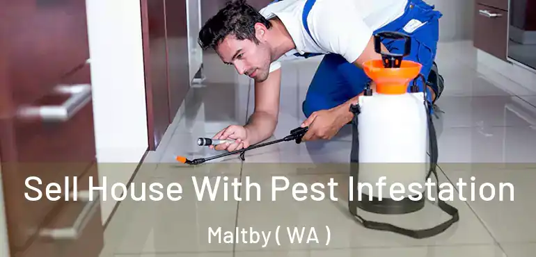  Sell House With Pest Infestation Maltby ( WA )