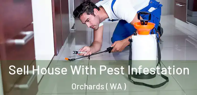  Sell House With Pest Infestation Orchards ( WA )