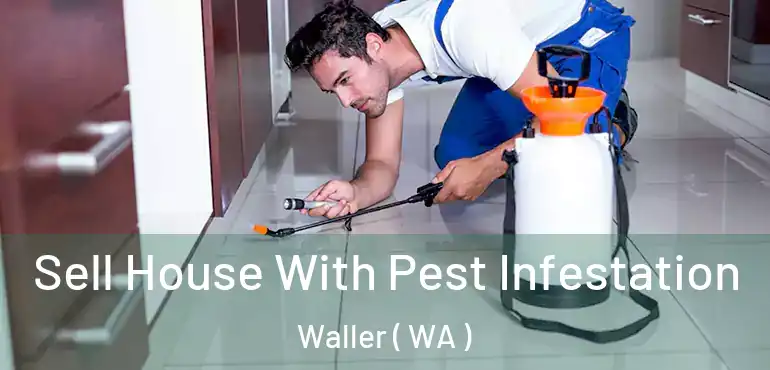  Sell House With Pest Infestation Waller ( WA )